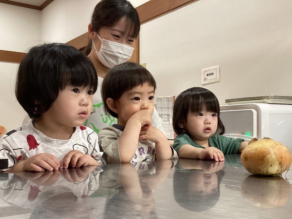 玉ねぎを見つめている姿